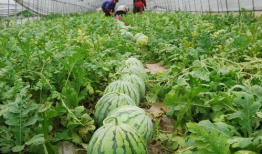 五一最新吃瓜爆料景甜,娱乐圈风云再起